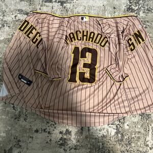 Nike Baseball Jersey with Brown Stripes